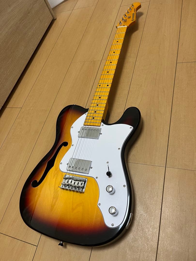 Donner シンライン テレキャスター DJC-1000S エレキギターセット