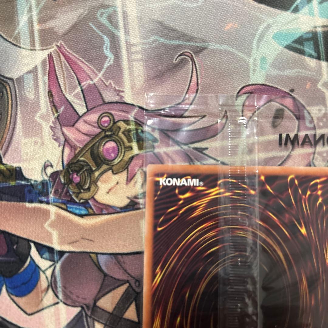 日本選手権 2024 2期 優勝プロモ