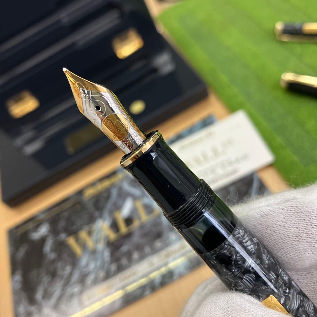 ペリカン Pelikan Wall Street 限定版 万年筆ボールペンセット
