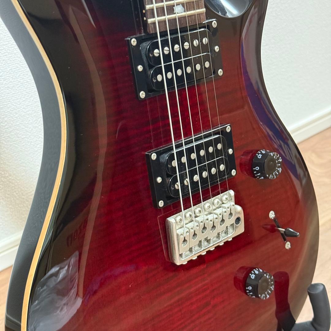 PRS(Paul Reed Smith) SE Custom24 (付属品多数)