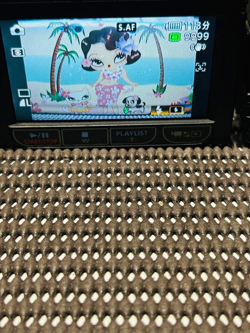 Canon Ivis HF20ビデオカメラ 本体