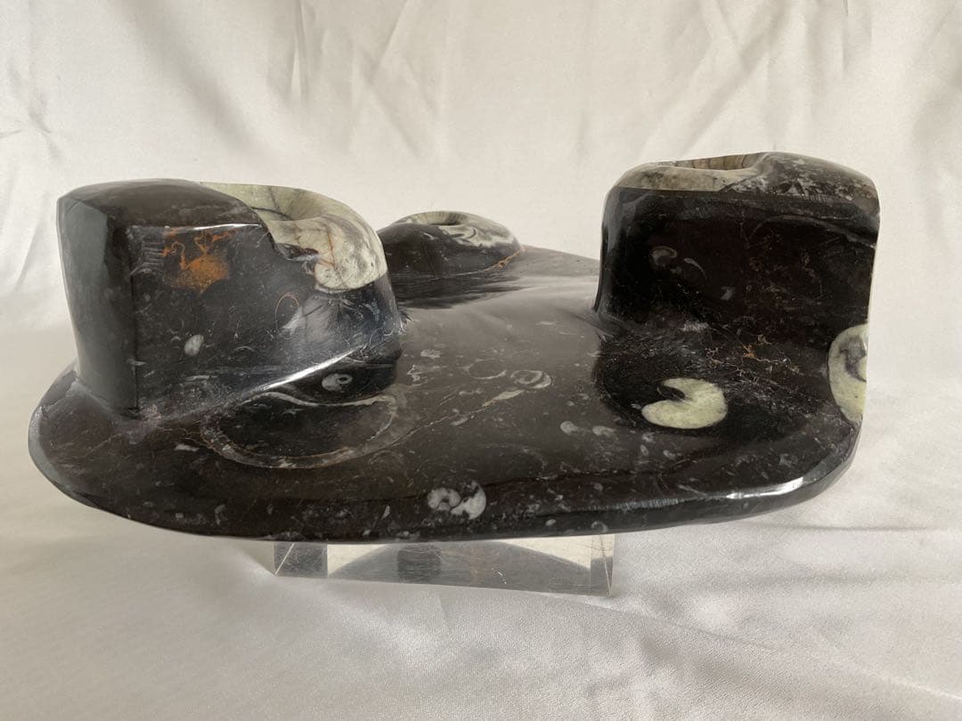 大理石アンモナイト化石の装飾/手彫り