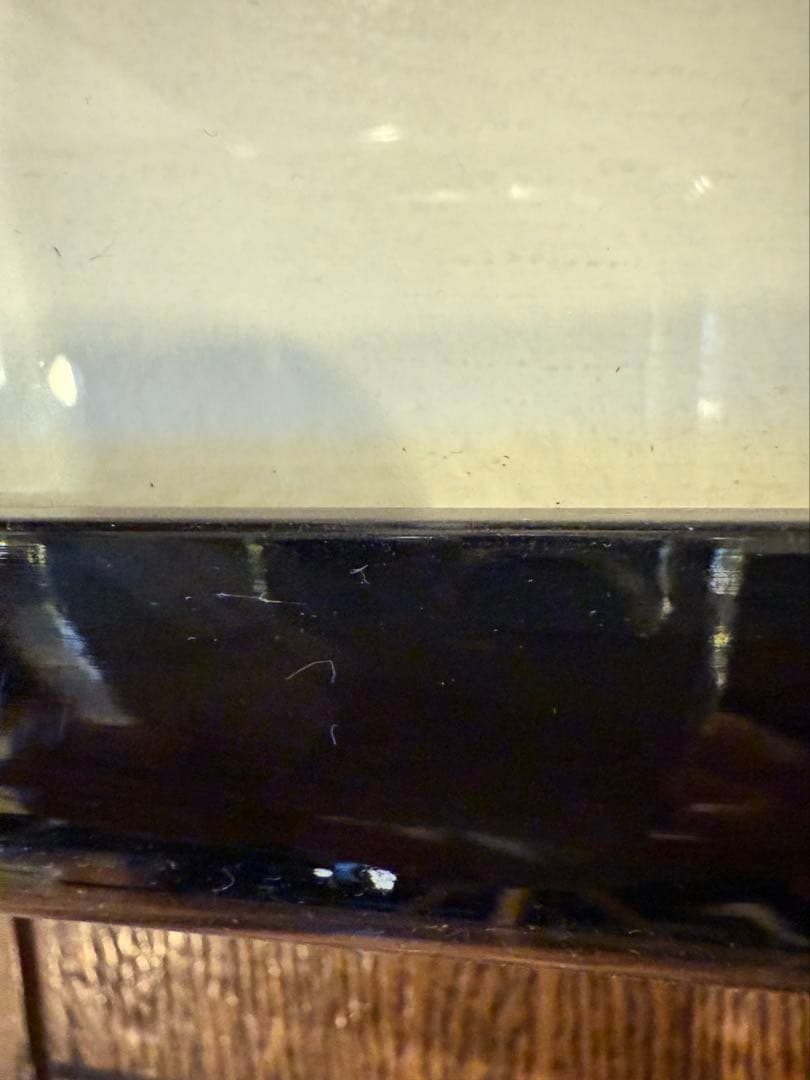 ディズニー セル画「Symphony Hour（シンフォニー・アワー）」限定