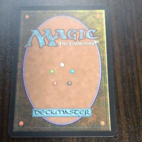 MTG　GuruLand（グルランド）　Forest　１枚