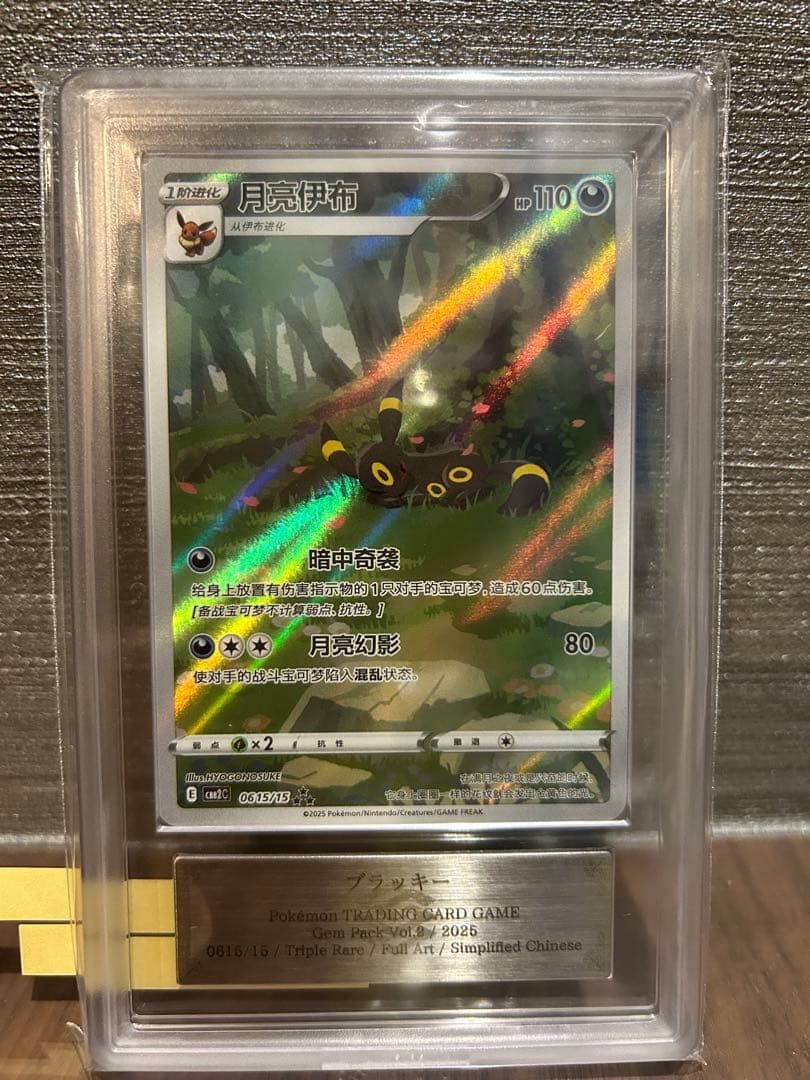 【ARS10+】ブラッキー AR 中国語 宝石包