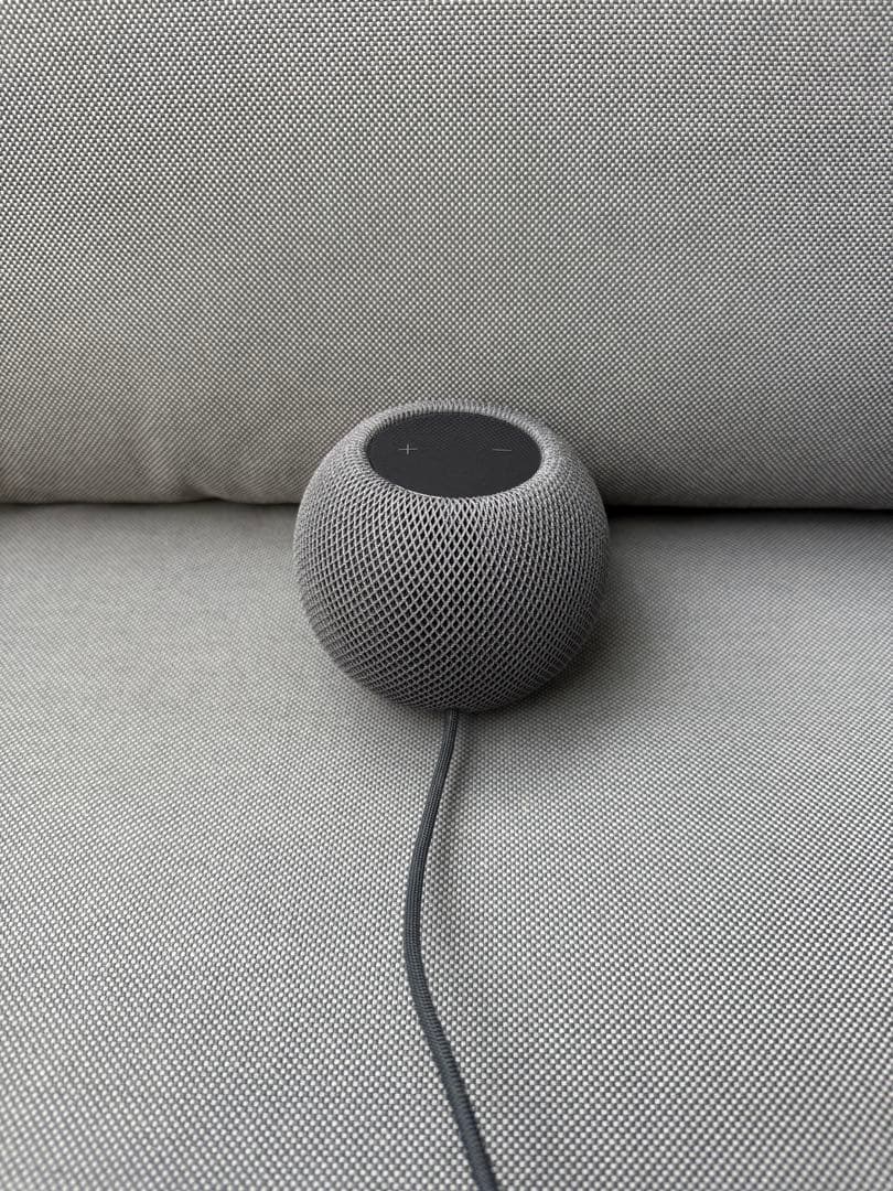 Apple Pod mini (黒)