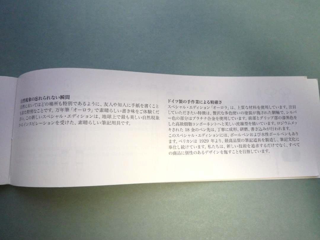 【美品】ペリカン 自然の美観シリーズ M640 ポーラーライト 万年筆（字幅F）