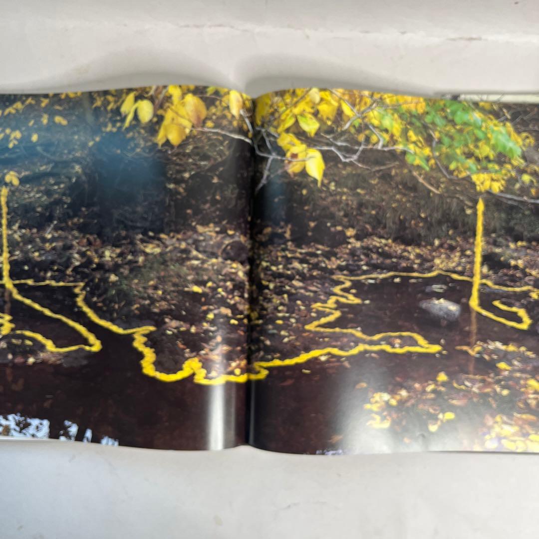 現代美術家アンディゴールズウォスリイ写真集　 ボイス