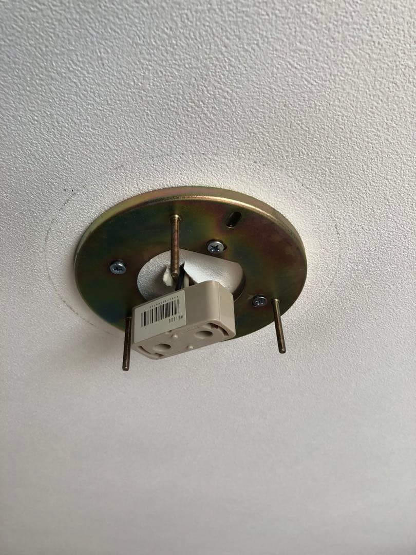 フラワー型ガラスシェードシャンデリア