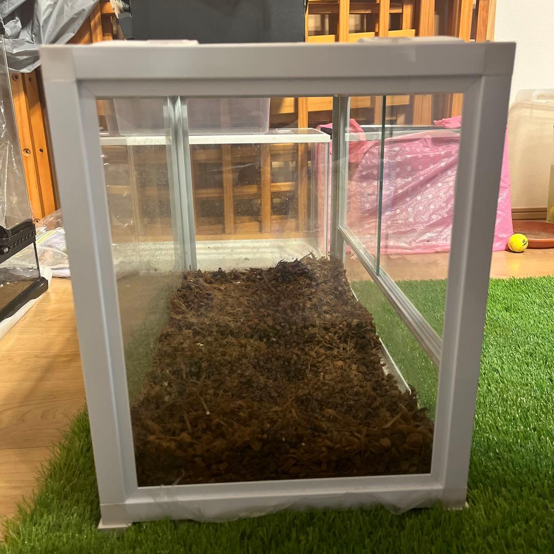 爬虫類ケージ　60×45