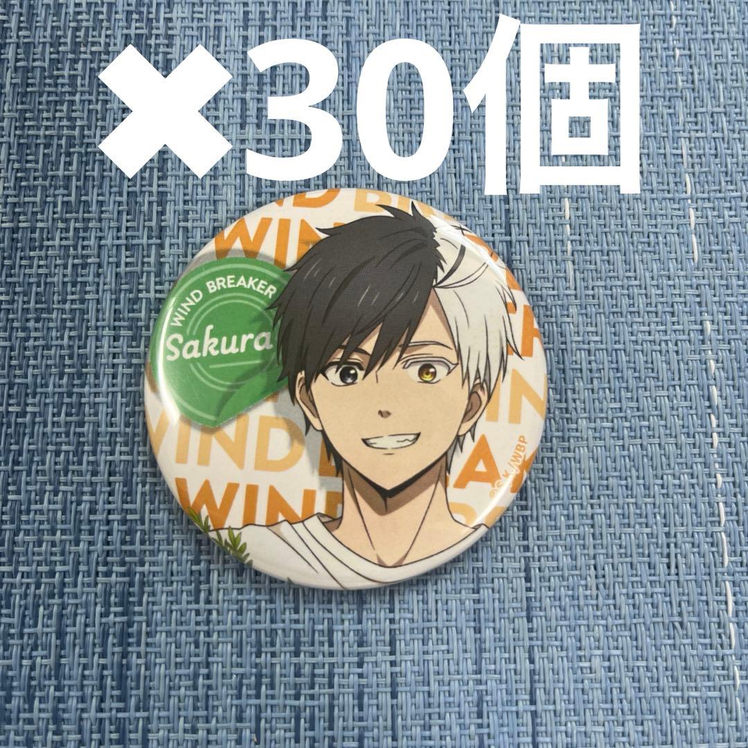 ウィンドブレイカー トレーディング缶バッジ お野菜収穫ver 桜遙30個