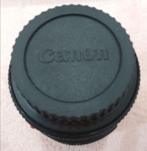 レンズ(単焦点) Canon EF 100mm f/2.8L Macro IS USM