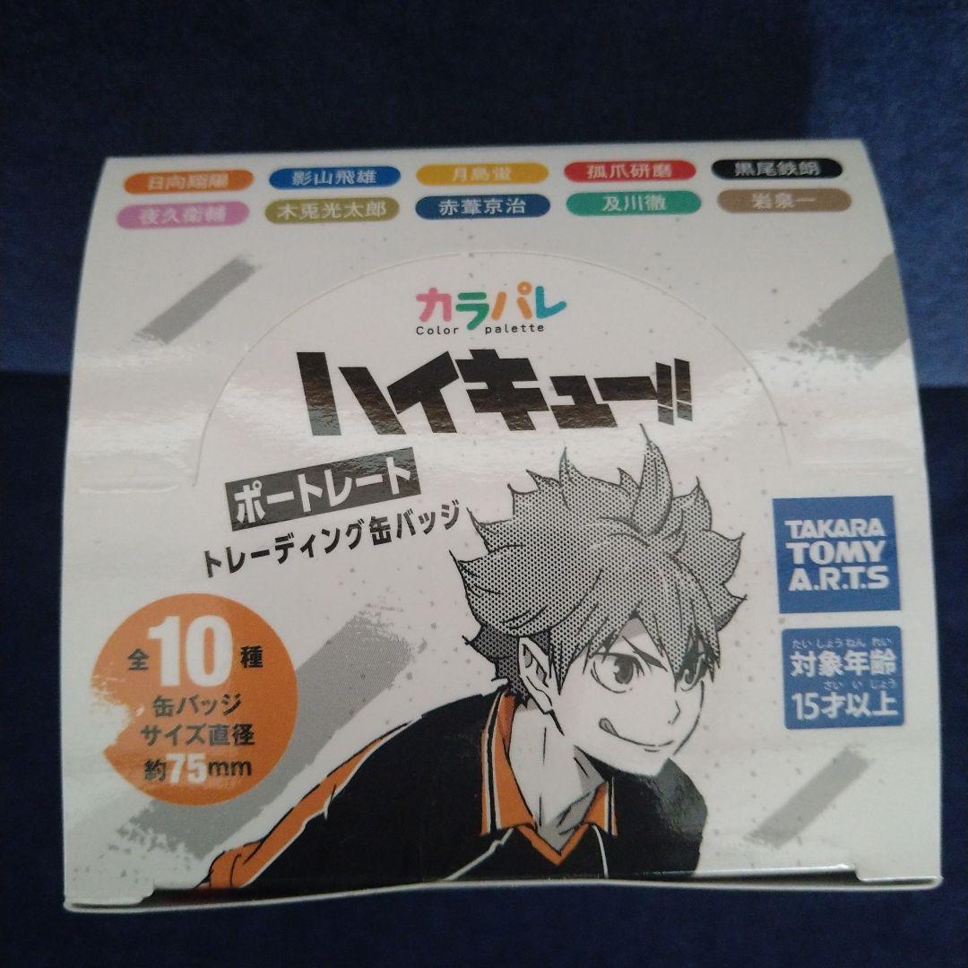ハイキュー!!缶バッジ全10種　ポートレート　カラパレ　BOX