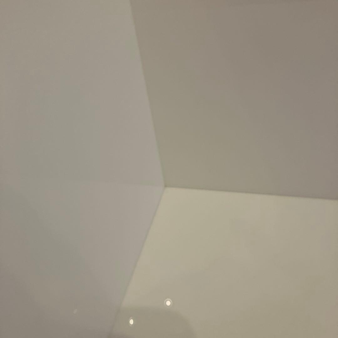 犬　アクリルトレー