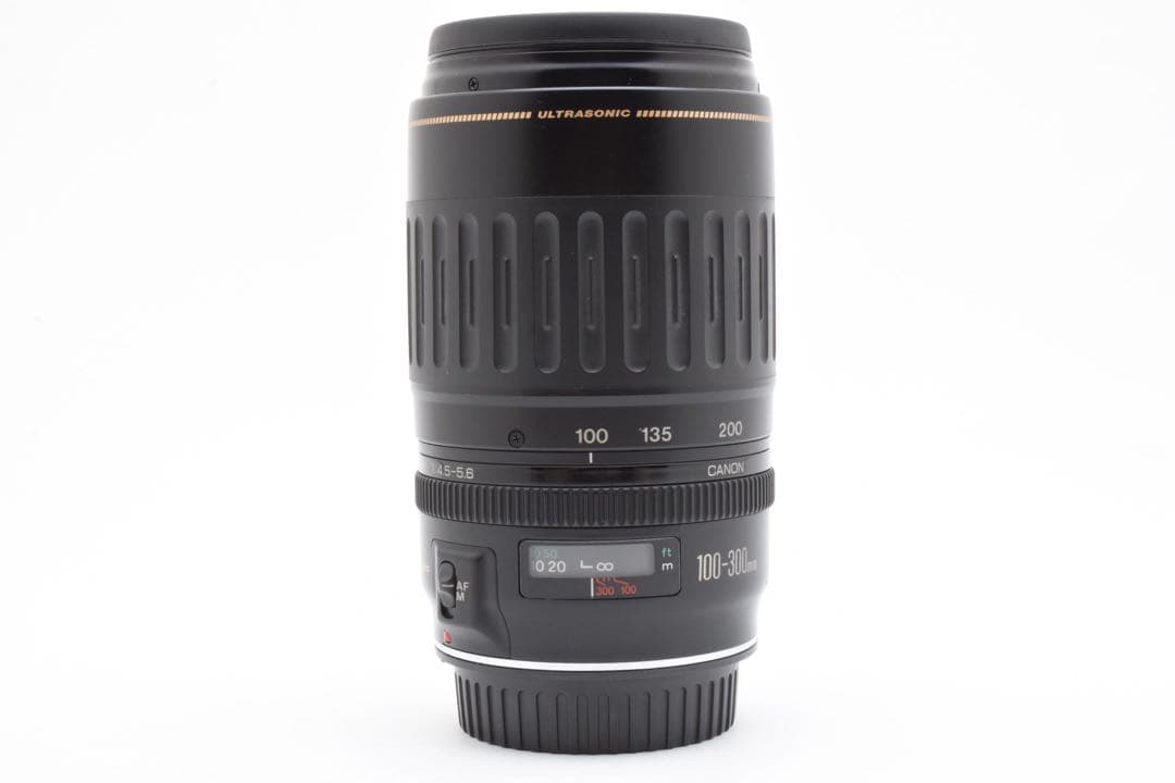 デジタル一眼レフカメラCanon EF 100-300mm F 4.5-5.6