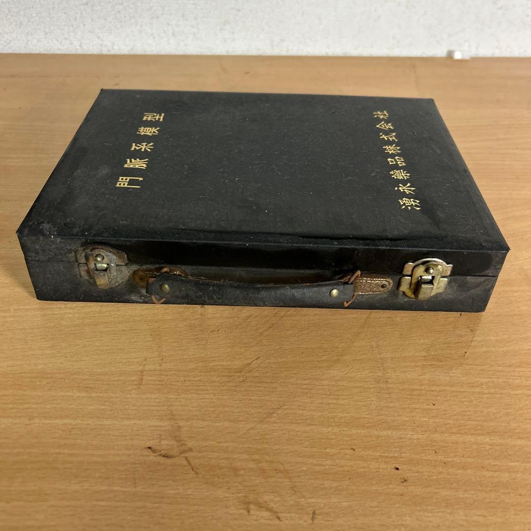 超レア　門脈系模型