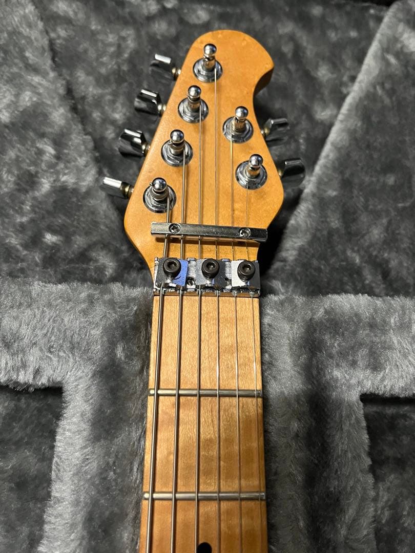 EVHタイプ　工房製