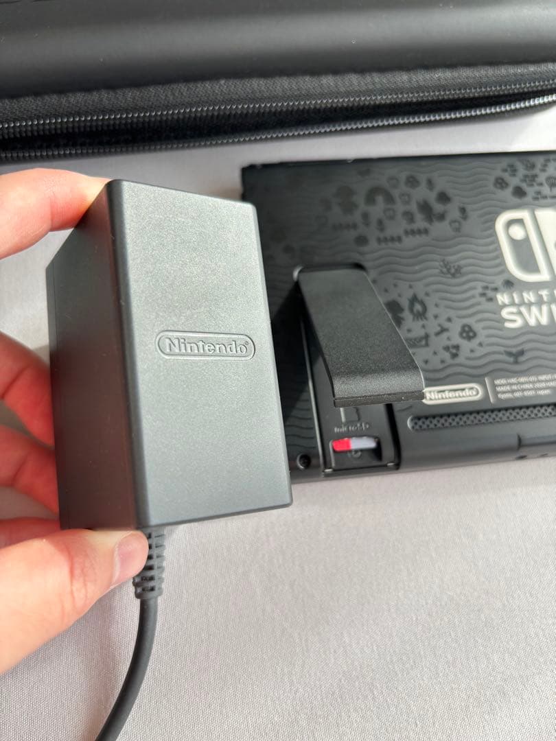 Nintendo Switch 本体と附属品 どうぶつの森　ニンテンドースイッチ