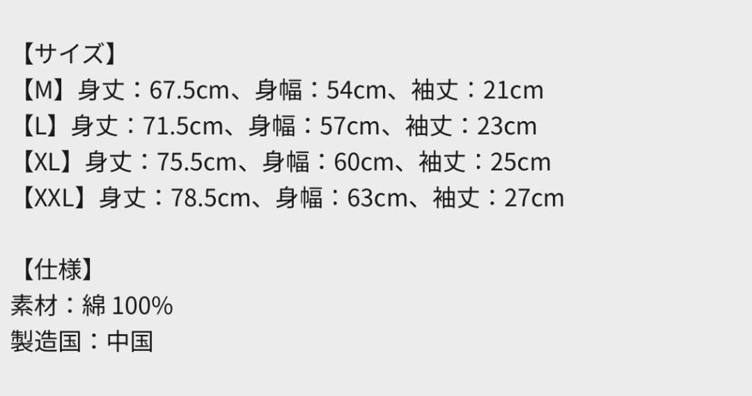 新品★oasis/オフィシャルツアーグッズ/Tシャツ/日本限定/富士/XXL★