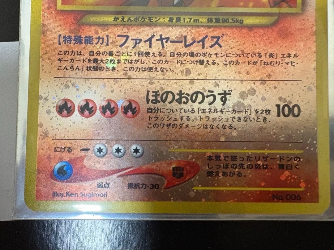 かえんポケモンリザードン