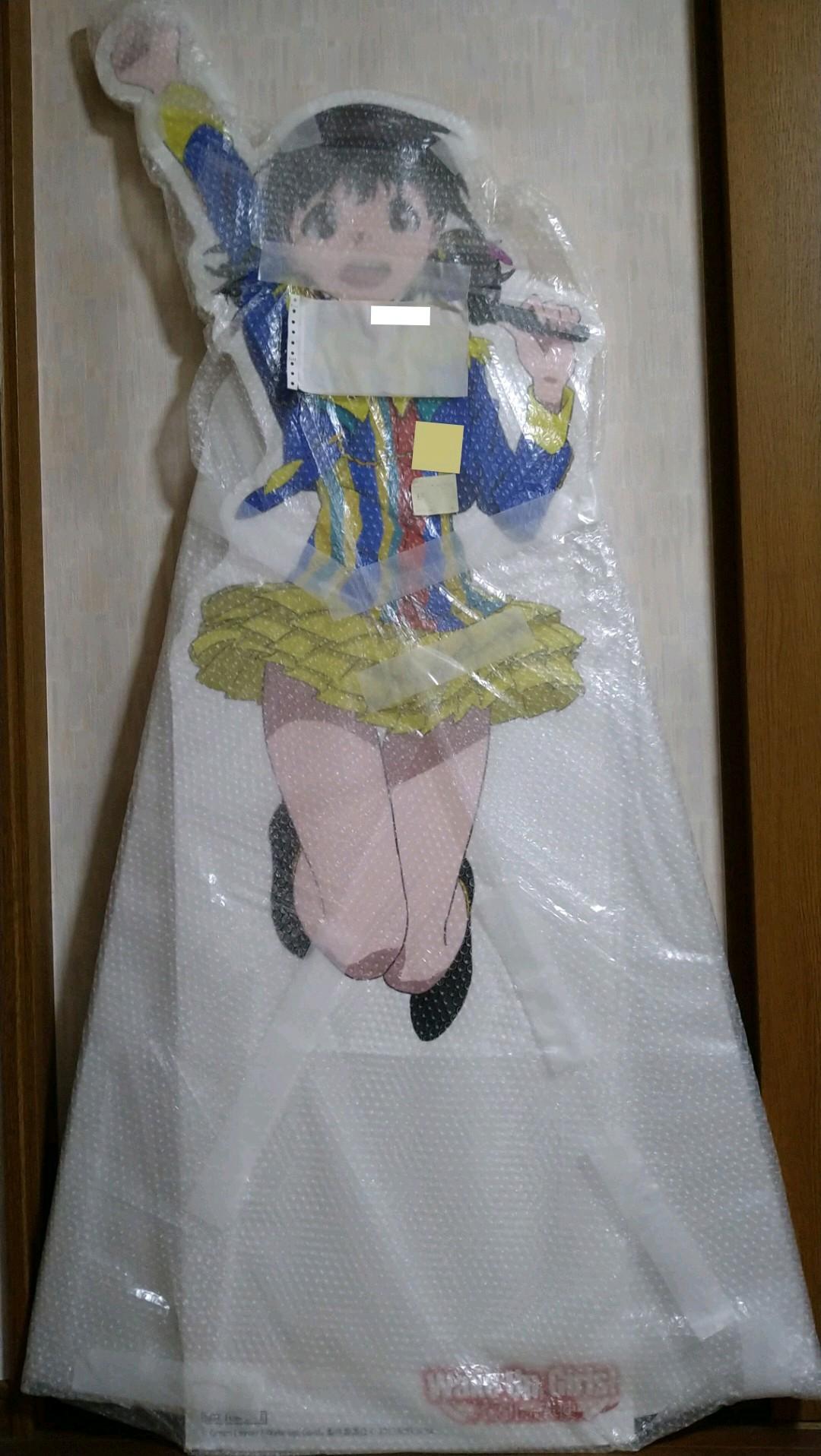 激レア一点物/ Wake Up, Girls! 等身大パネル 片山実波 田中美海