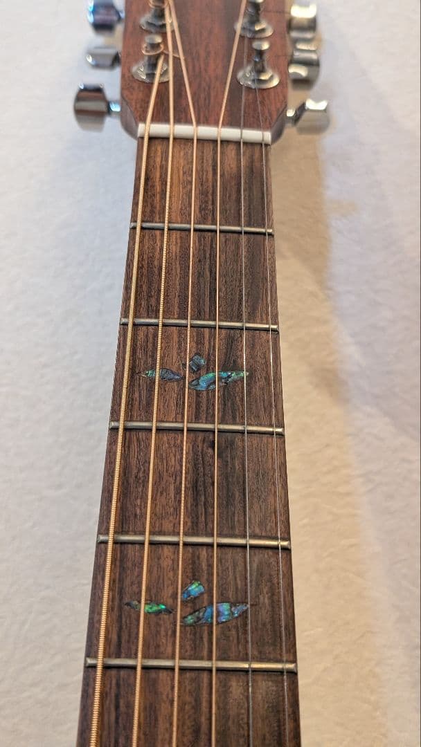 Martin & Co. DXM アコースティックギター マーチン　USA