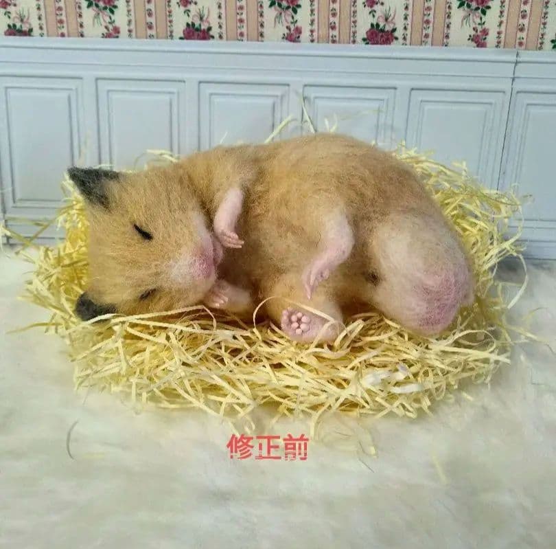 羊毛フェルト　すやすや眠るキンクマ