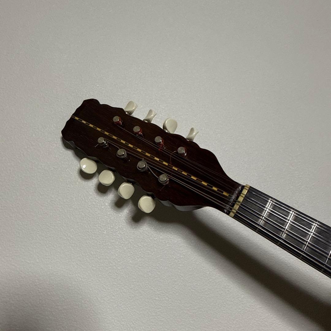 渡辺マンドリン No.100 鼈甲ネック渡辺精次　S.watanabe 1986