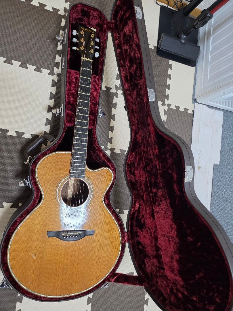アコースティックギターHISTORY NT-301