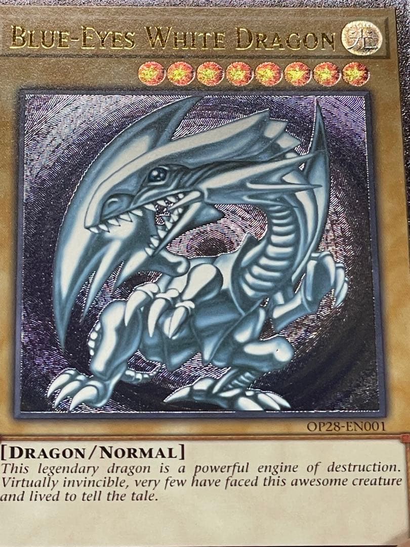 遊戯王　ots28 op28 青眼の白龍　レリーフ　北米版