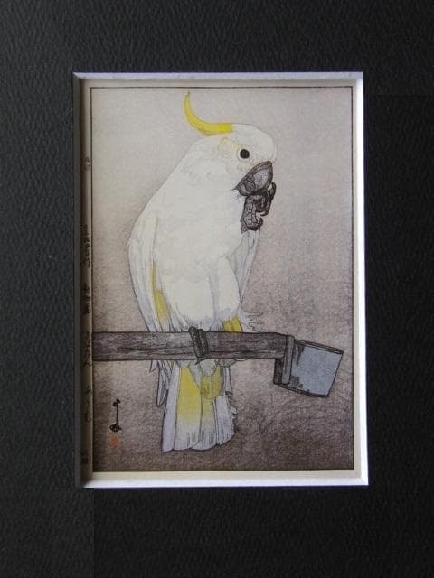 吉田博、きばたん　あうむ、希少な額装用画集より、新品高級額装付、状態良好