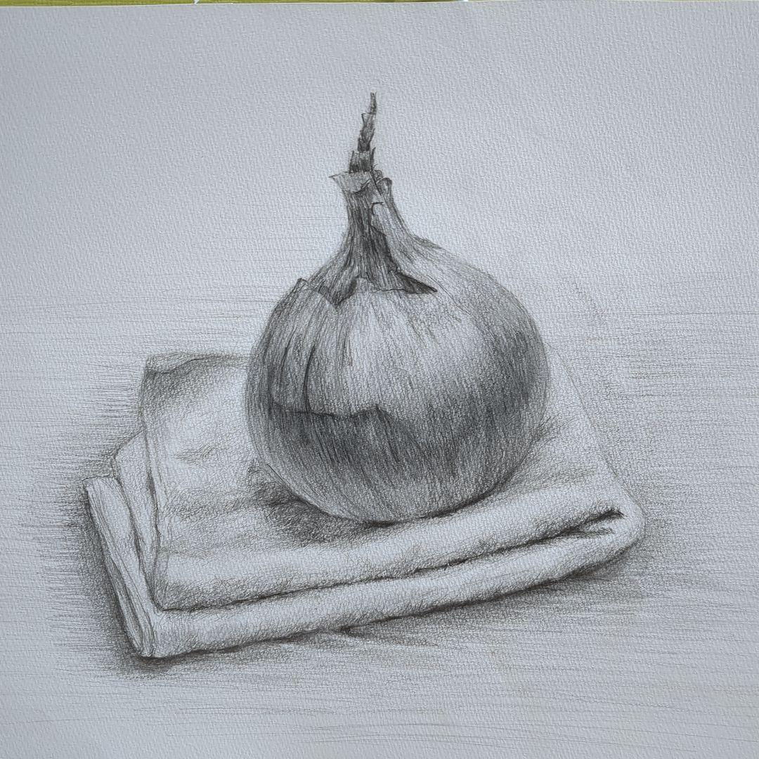 玉ねぎの鉛筆画