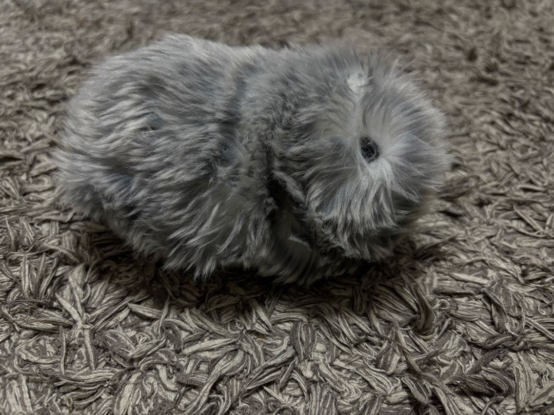 CASIO AIペット モフリン Moflin シルバー 本体＋付属品