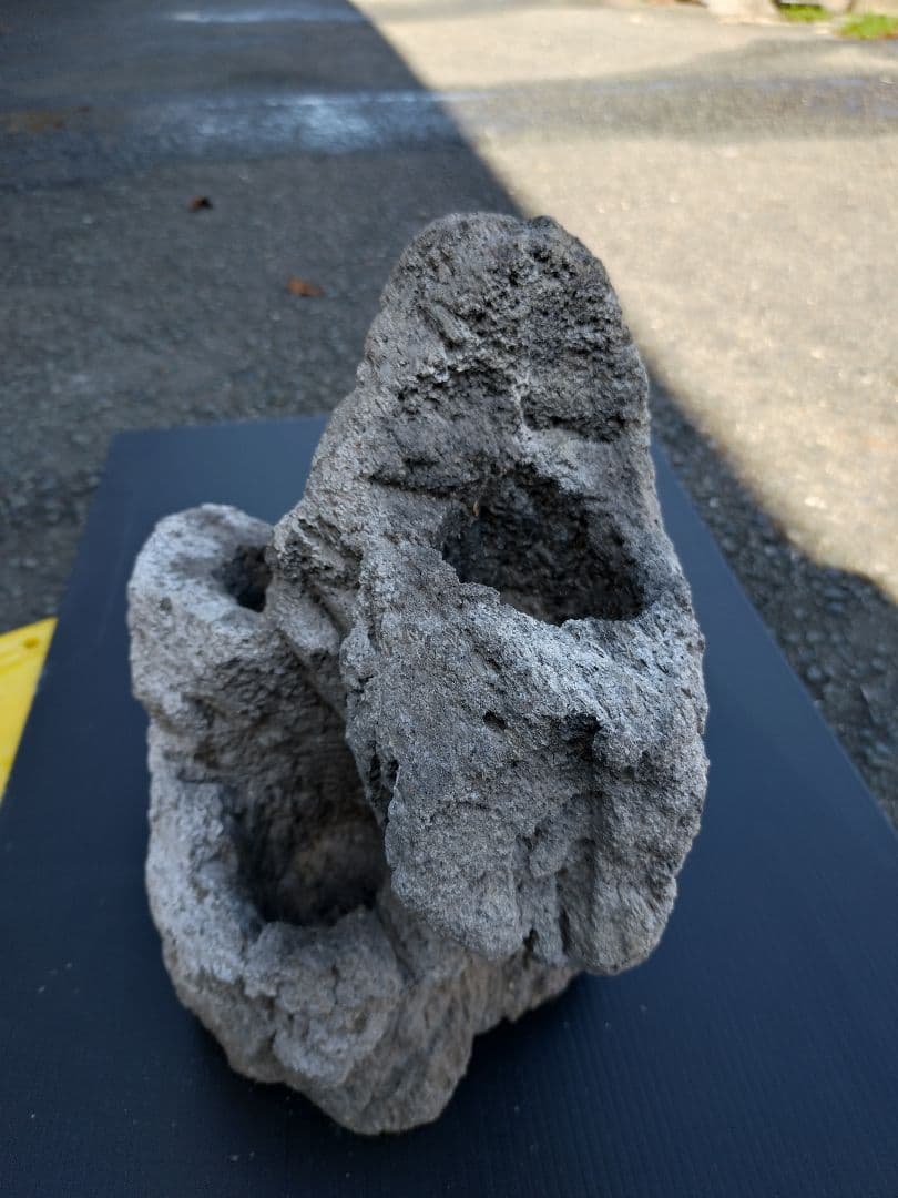 ADA 雲山石 XL 穴3個 水槽 レイアウト石 水槽レイアウト 水槽用石