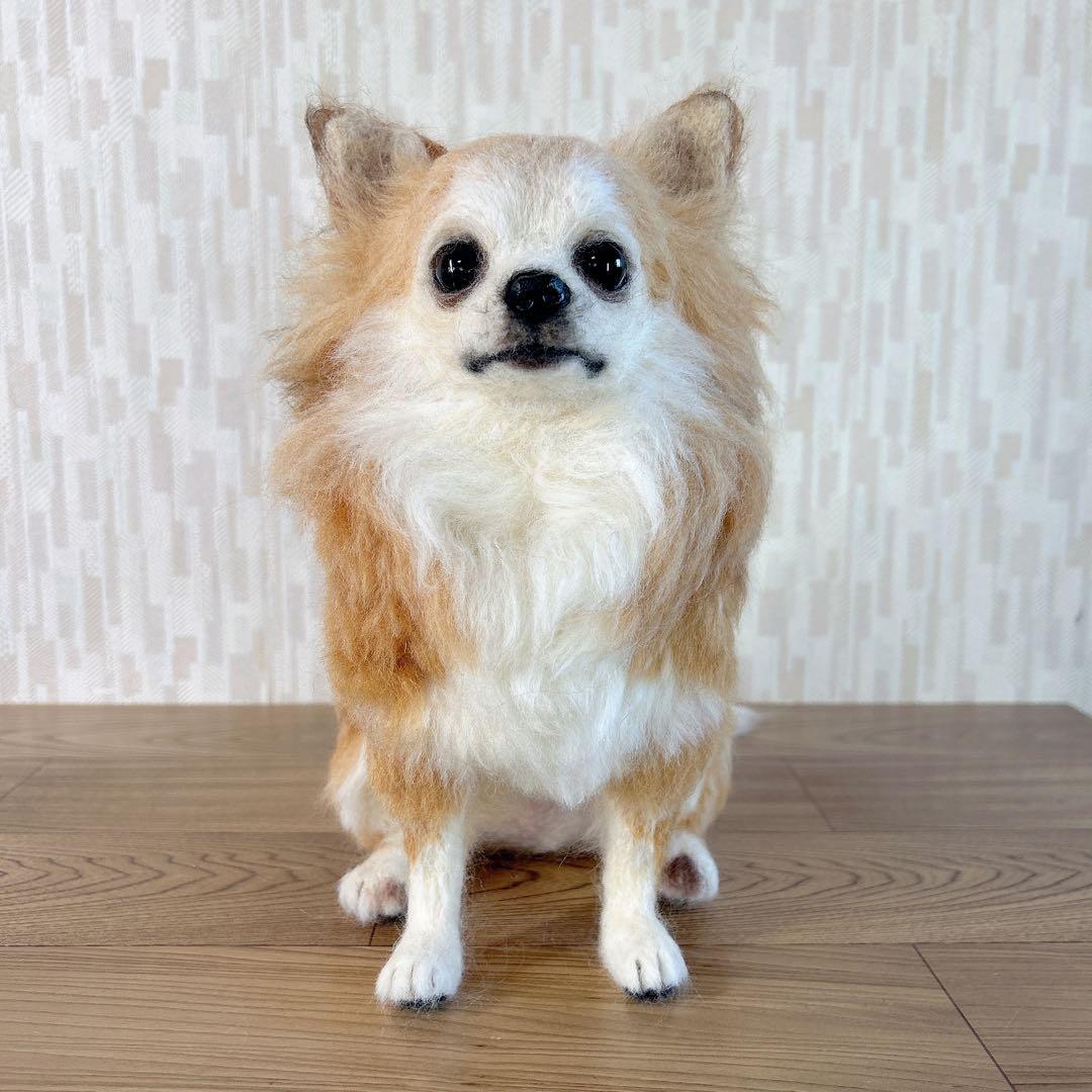 桜もち様　オーダー専用　羊毛フェルト　犬　チワワ