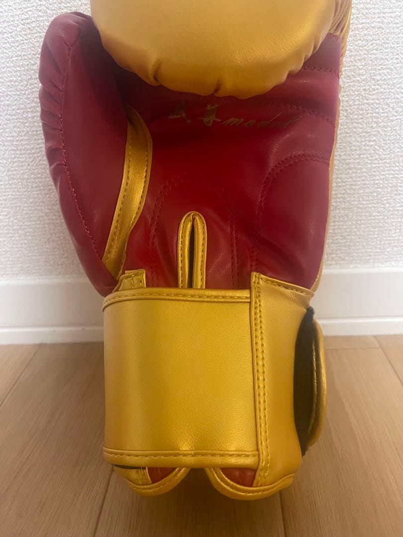 K-1 武尊サイン入り グローブ片方