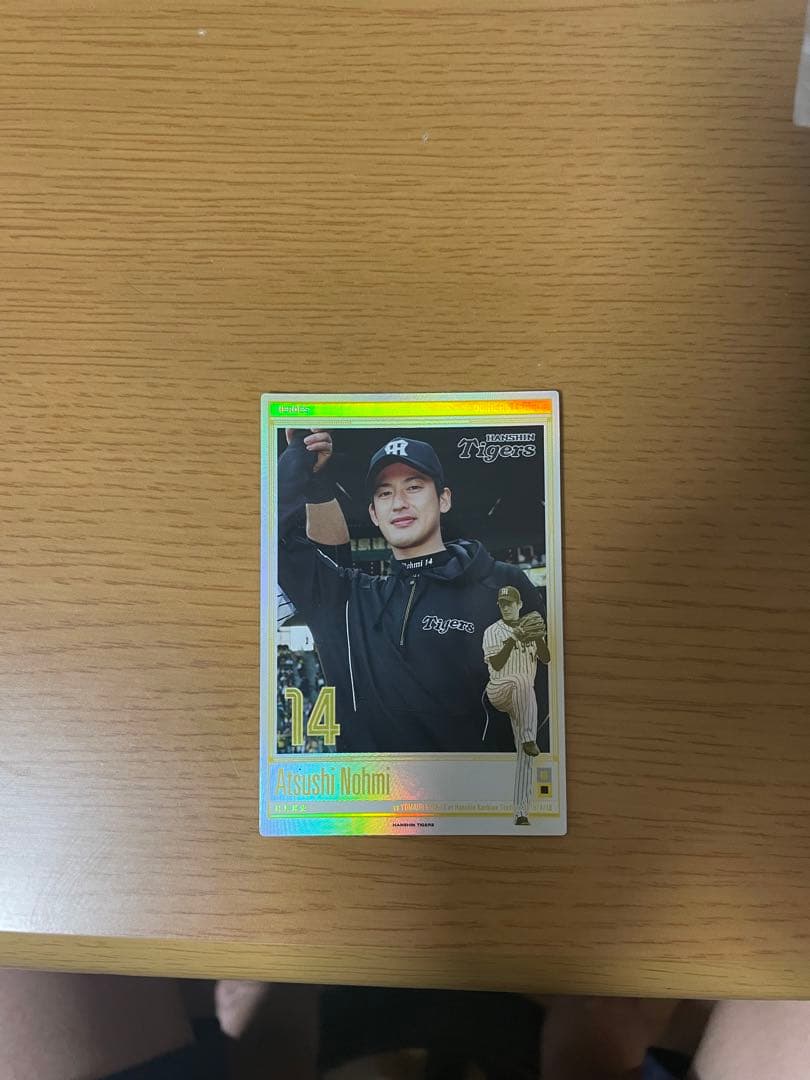 プロ野球オーナーズリーグ能見