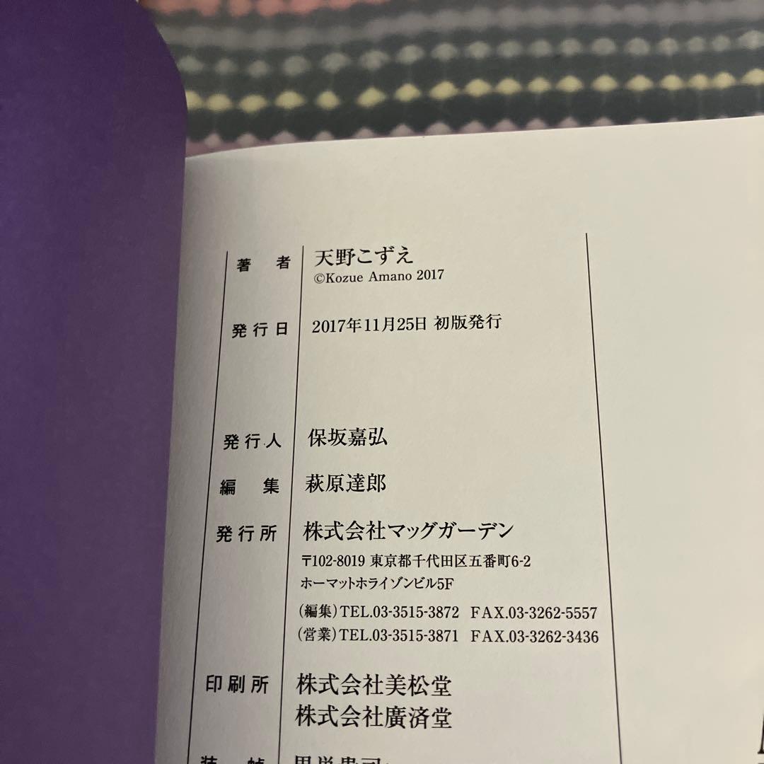 完全版 ARIA 全巻 小説 画集 Stella 天野こずえ セット