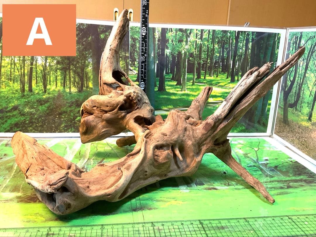 けすけ様　ご提案用　天然水槽用流木　沈水確認済み