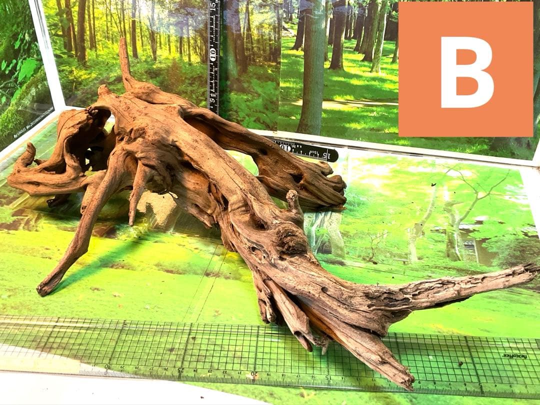 けすけ様　ご提案用　天然水槽用流木　沈水確認済み