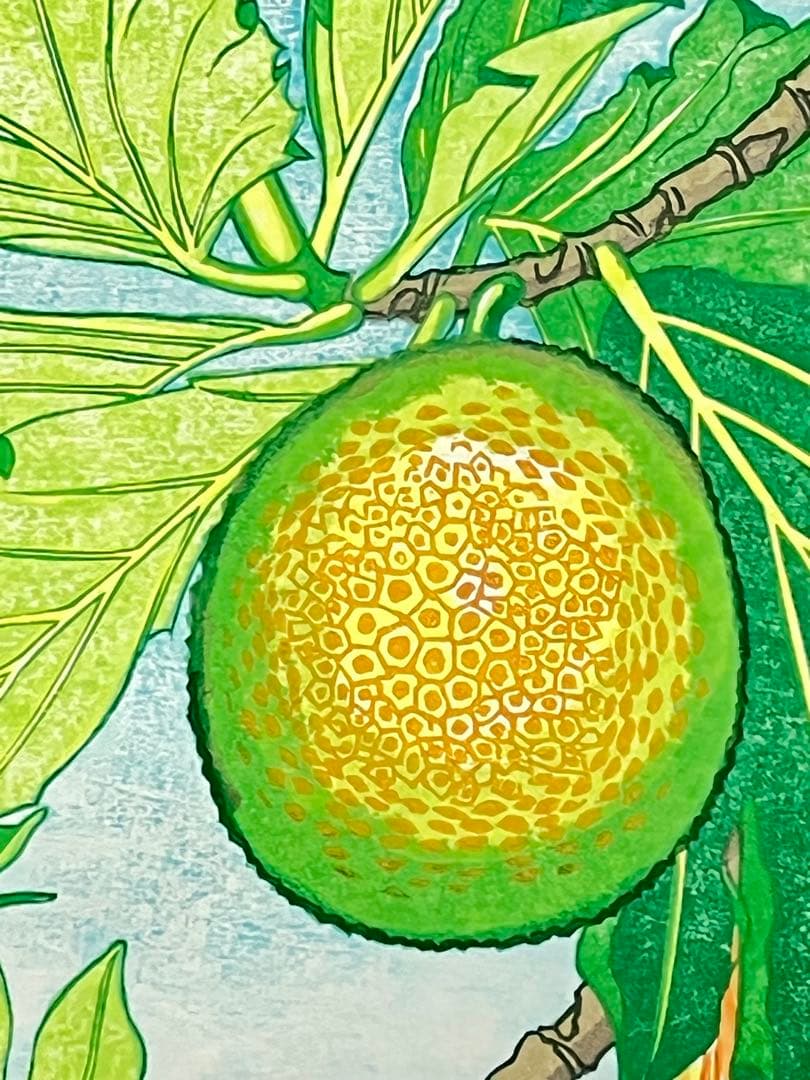 #Tahitian green 』 #パンの木の実