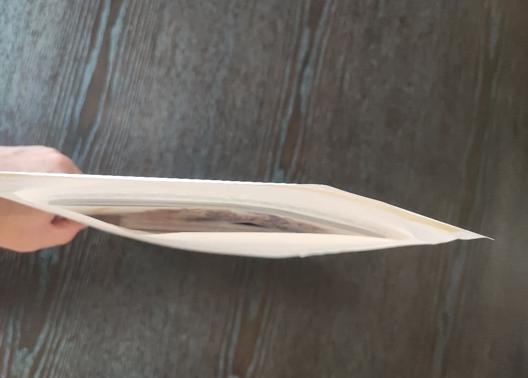 新品/未開封/未使用品 グラブルフェス2025 パンフレット アートブ