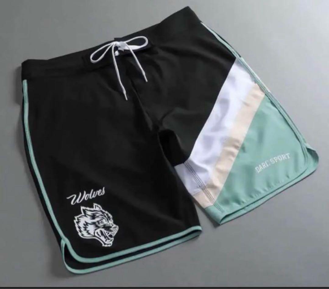 darcsport サーフパンツ 30