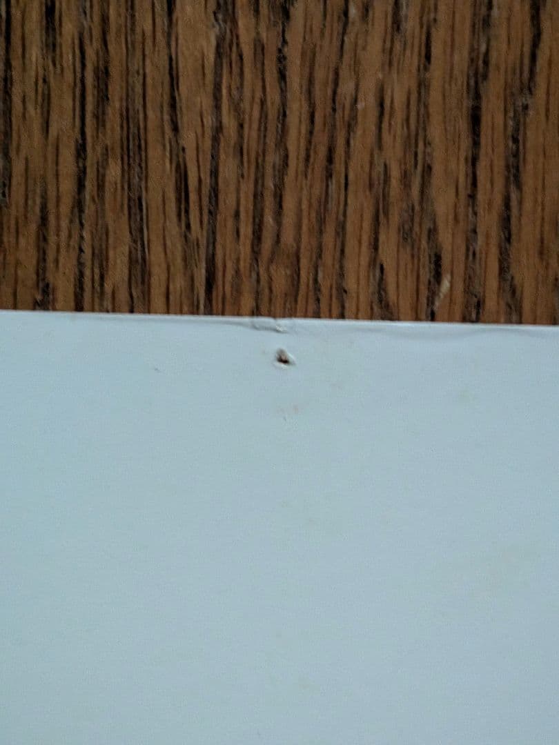 【B1特大ポスター】大黒摩季「いちばん近くにいてね」非売品