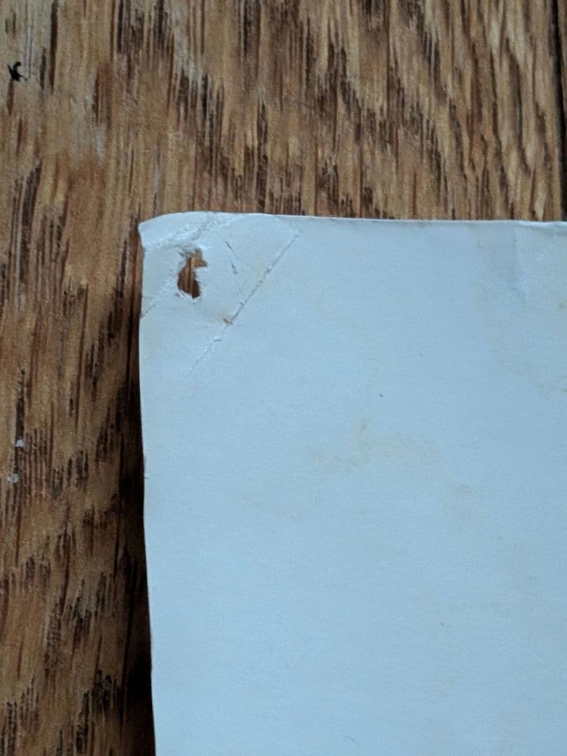 【B1特大ポスター】大黒摩季「いちばん近くにいてね」非売品