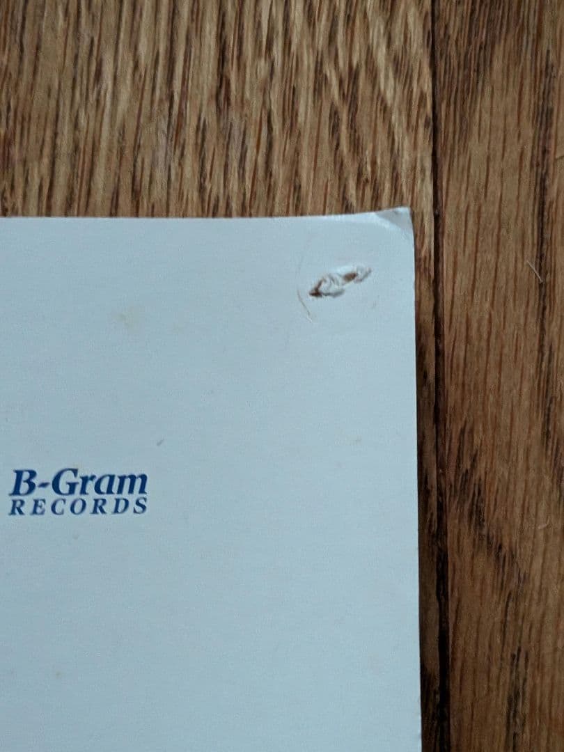 【B1特大ポスター】大黒摩季「いちばん近くにいてね」非売品