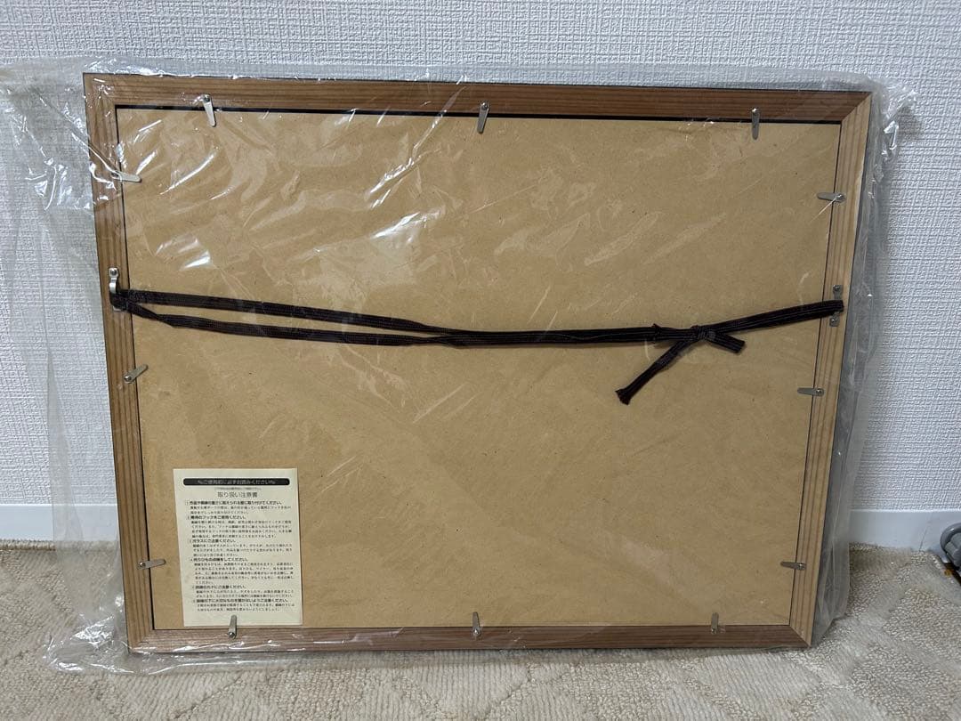 【限定品】風の谷のナウシカ 複製画 DVDコレクターズ