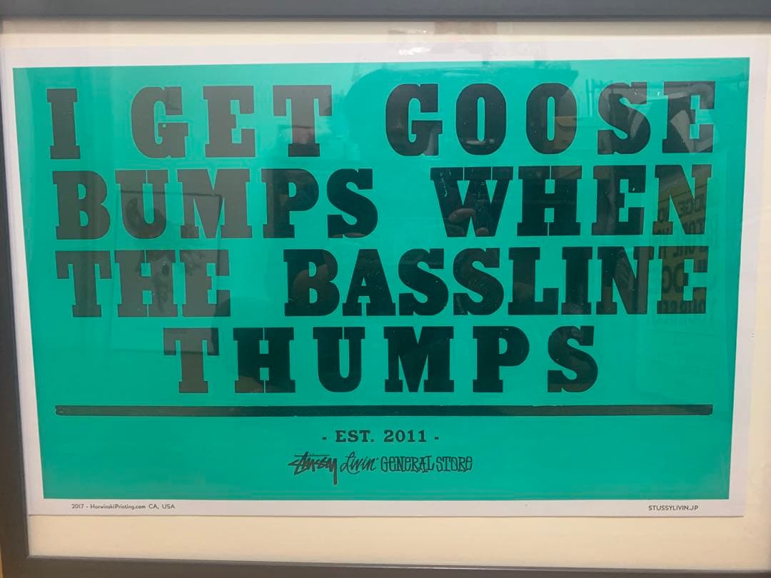 stussy livin' general store ポスター　ステューシー
