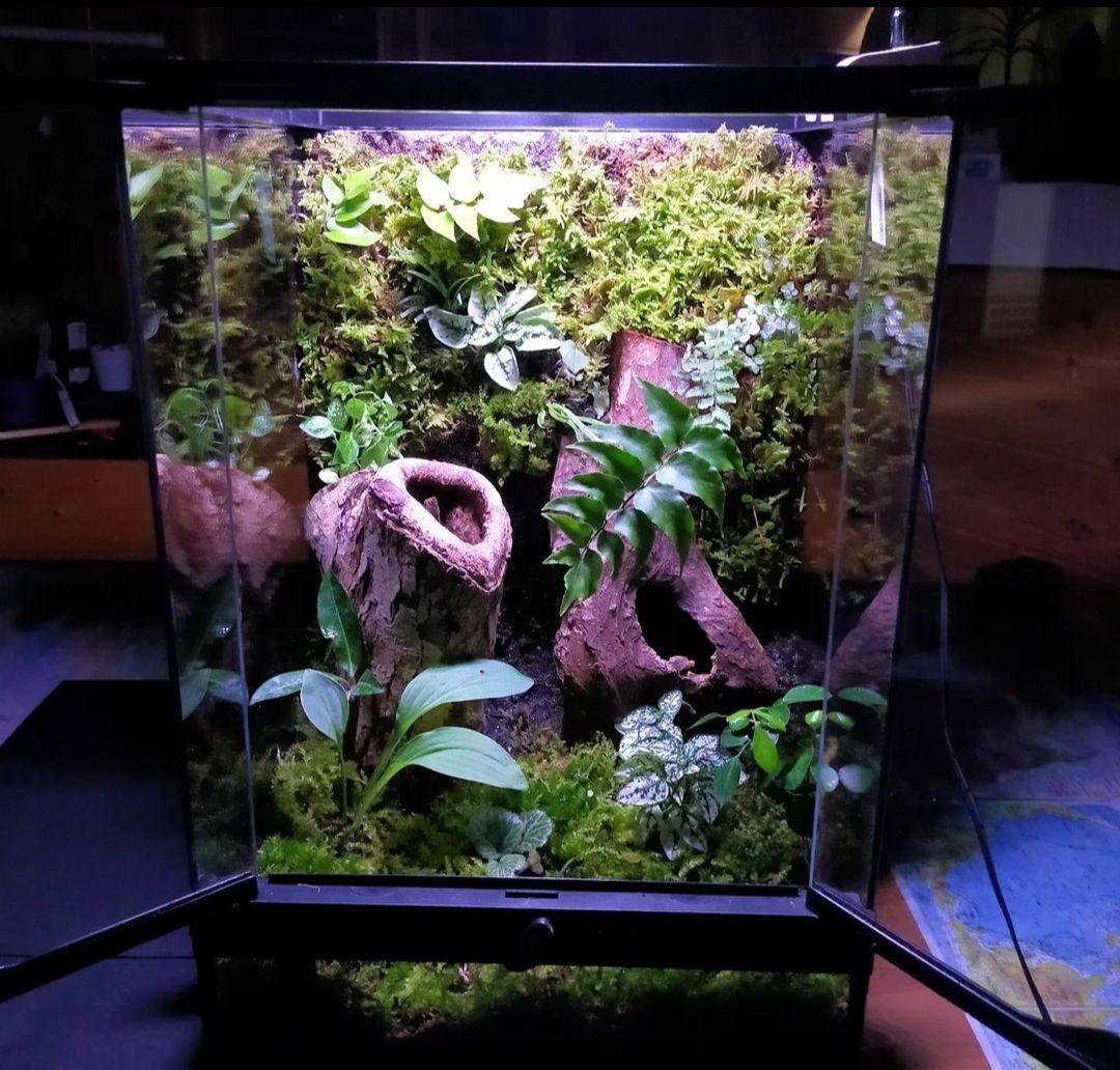 しょーきちページ