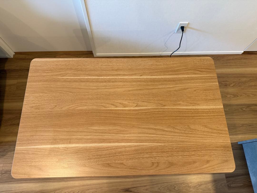 Flexispot 電動昇降スタンディングデスク・脚フレーム EG1天板セット